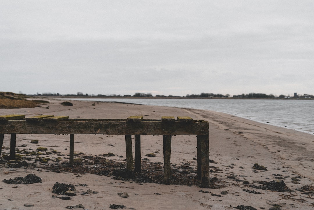 brown wooden fence on beach during daytime