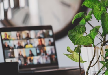 black flat screen tv turned on near green plant