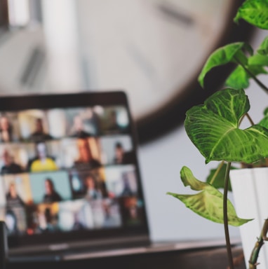 black flat screen tv turned on near green plant