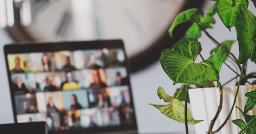 black flat screen tv turned on near green plant