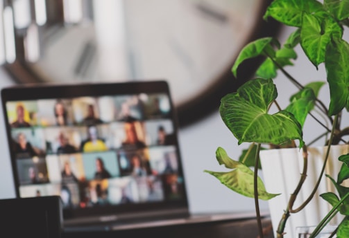 black flat screen tv turned on near green plant