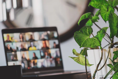 laptop showing video call near houseplant