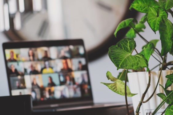 A laptop displaying a video conference with multiple participants visible on the screen. A vibrant green potted plant is prominently positioned in the foreground. A blurred clock is slightly visible in the background.
