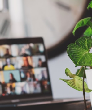 black flat screen tv turned on near green plant