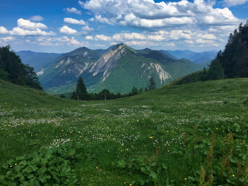 green grass field near mountain under blue sky during daytime