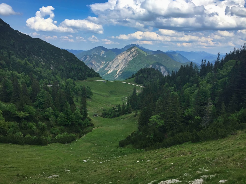 green trees on green grass field near mountains under blue sky during daytime