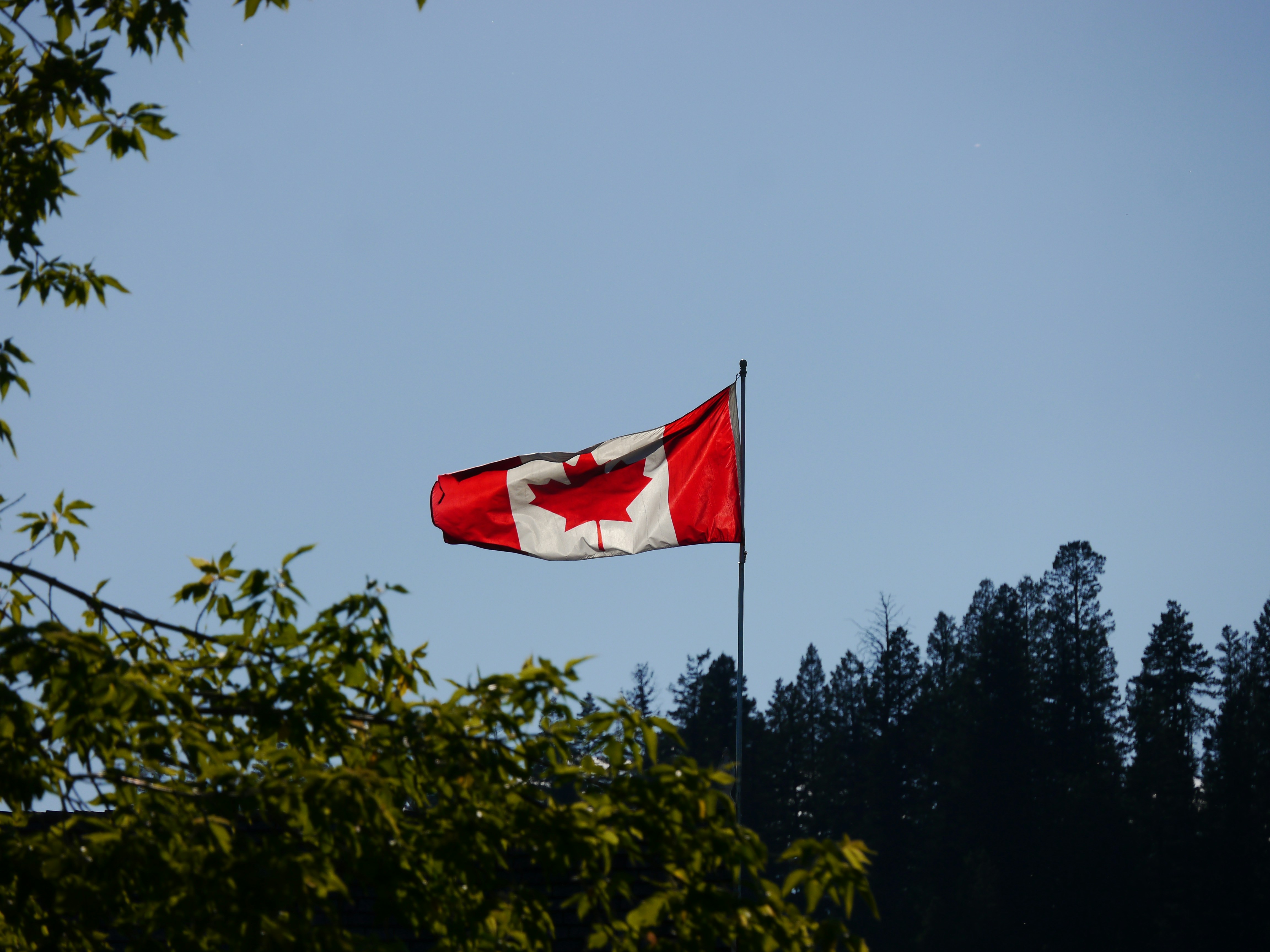 Canada Flag