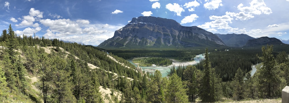 green pine trees near lake under blue sky during daytime