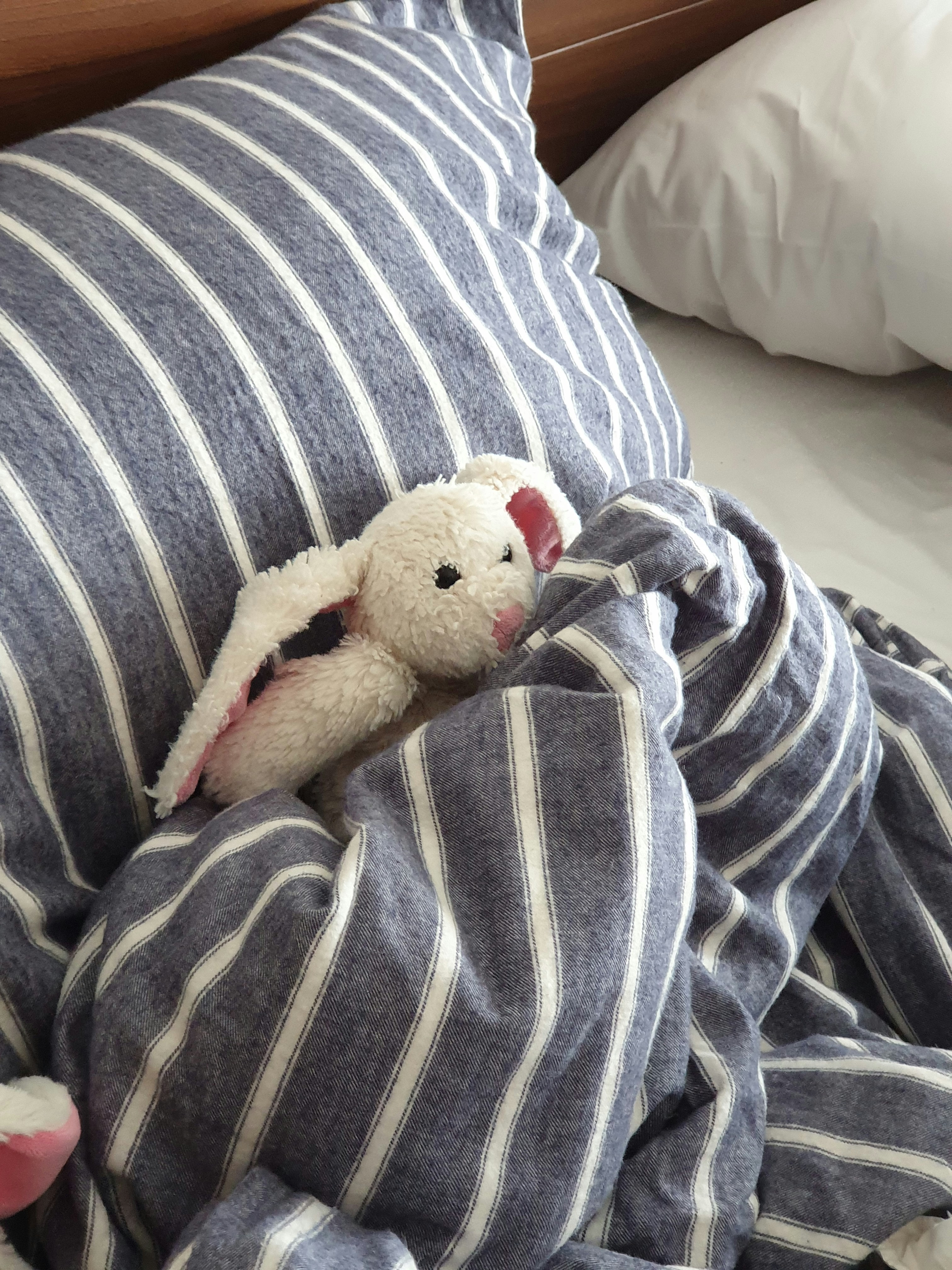 Cuddly Newborn Plushie