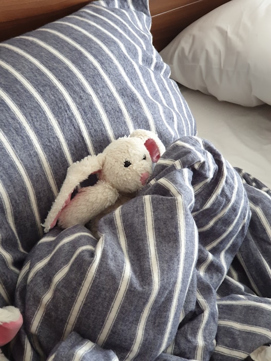 A soft, cuddly plush bunny with a custom embroidered name tag resting on a cozy baby blanket.