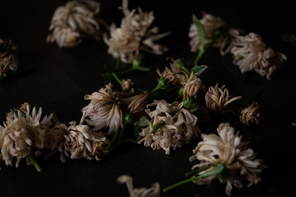 fiori bianchi e marroni su tessuto nero