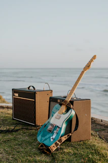 brown and black guitar amplifier on brown wooden dock during  for online guitar tuner