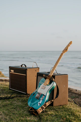 brown and black guitar amplifier on brown wooden dock during  for online guitar tuner