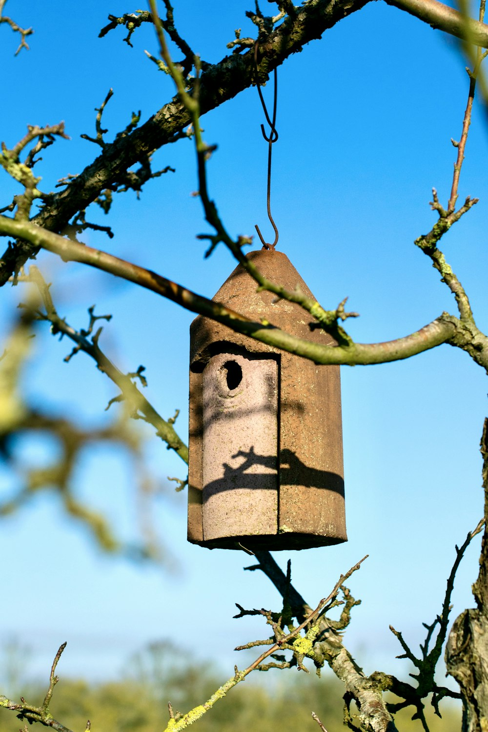 brown wooden bird house on tree branch during daytime