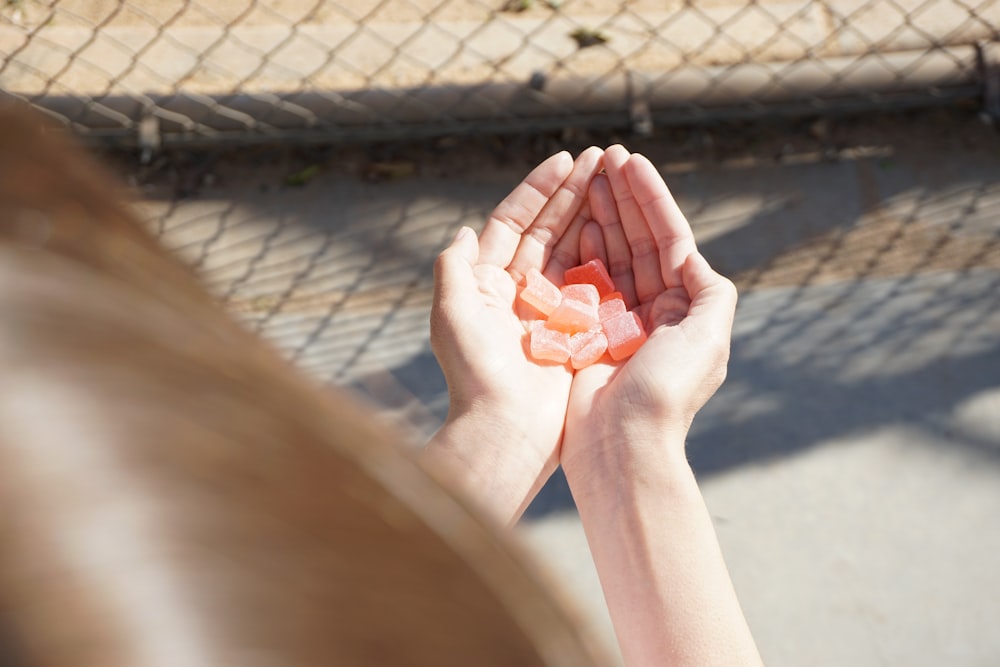 person holding pink flower petals