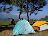 A scenic camping site on a grassy area with two tents set up under tall pine trees. One tent is blue with orange accents, and the other is yellow and green. A person is sitting on a log near the tents, gazing at the expansive landscape of rolling hills and distant trees under a clear blue sky.