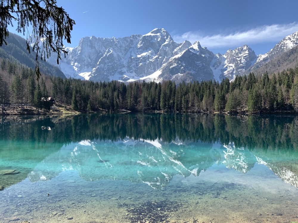 green trees near lake and snow covered mountain during daytime