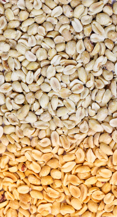 5 Fingers Cashewnut Big Bottle