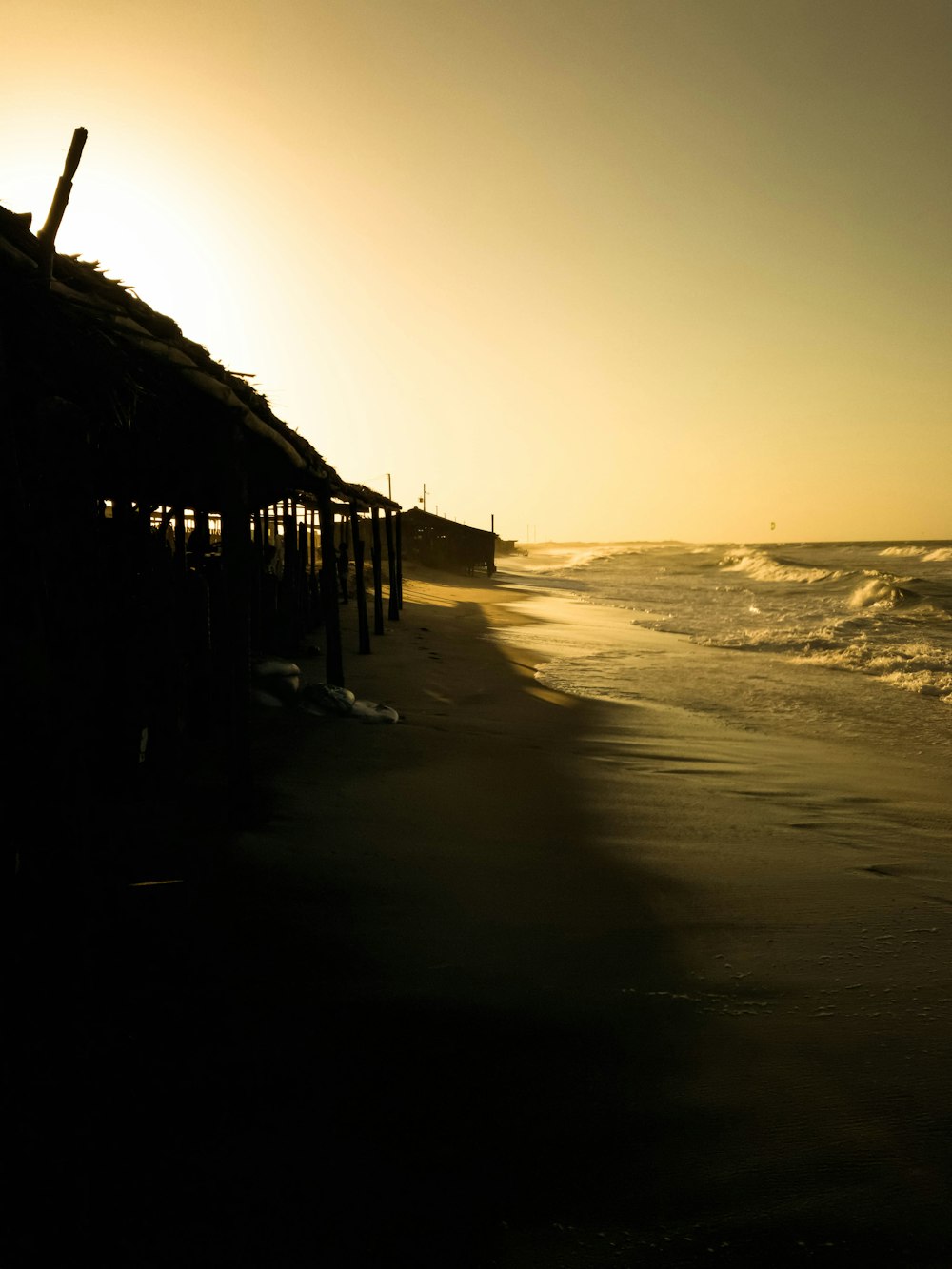 silhouette of people walking on beach during sunset