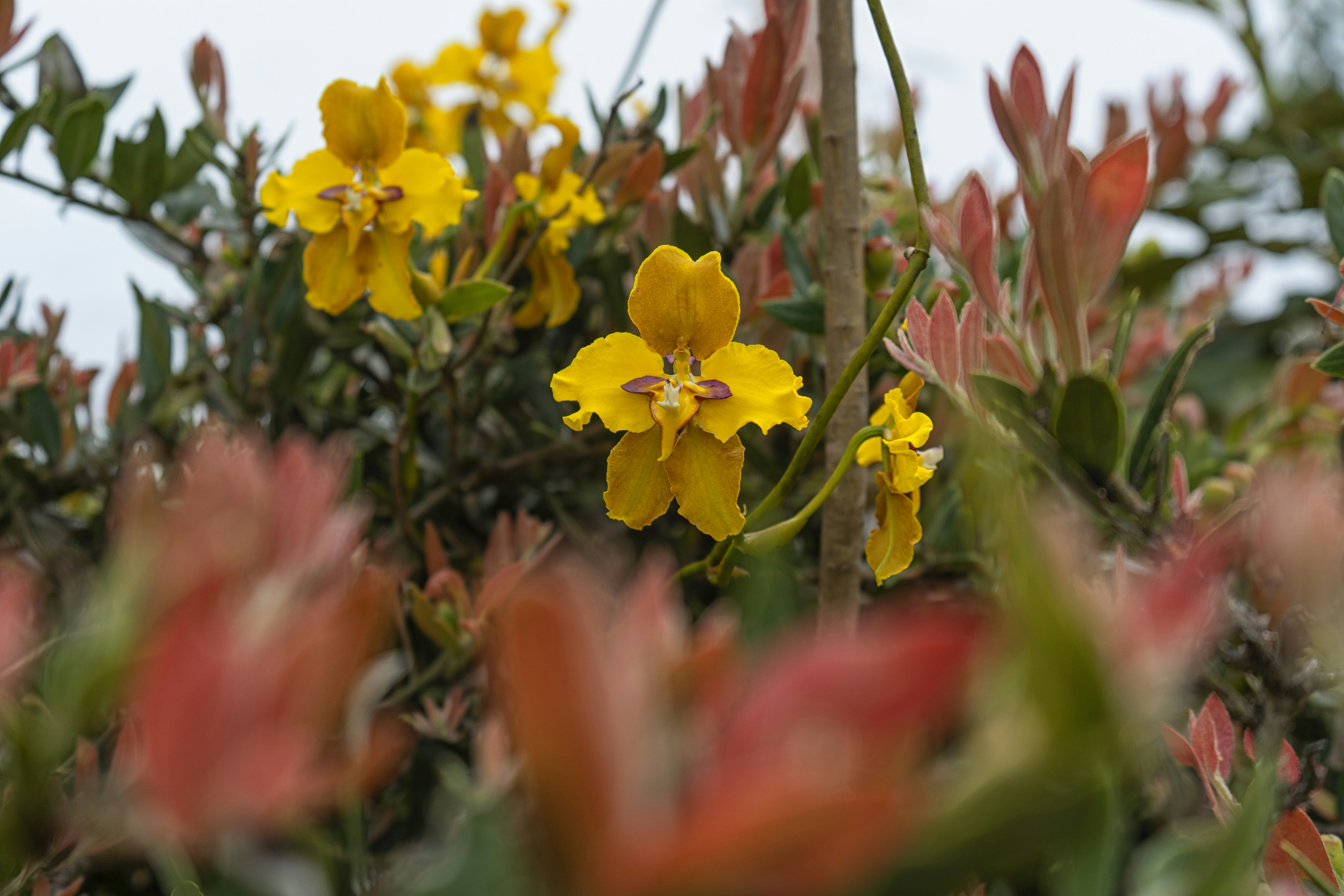 Photo by kiyoshi_jpg