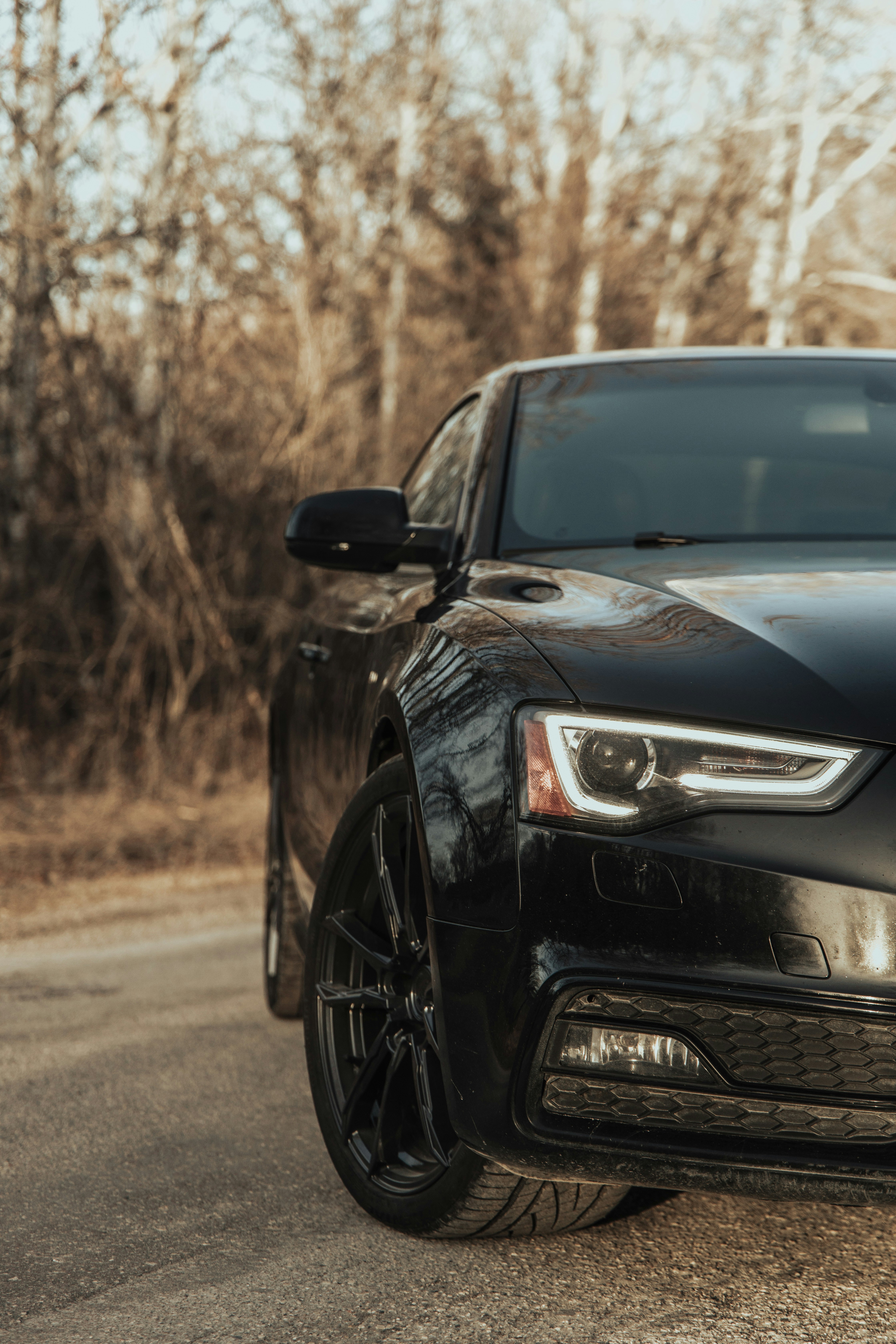 Photo by milesloewen