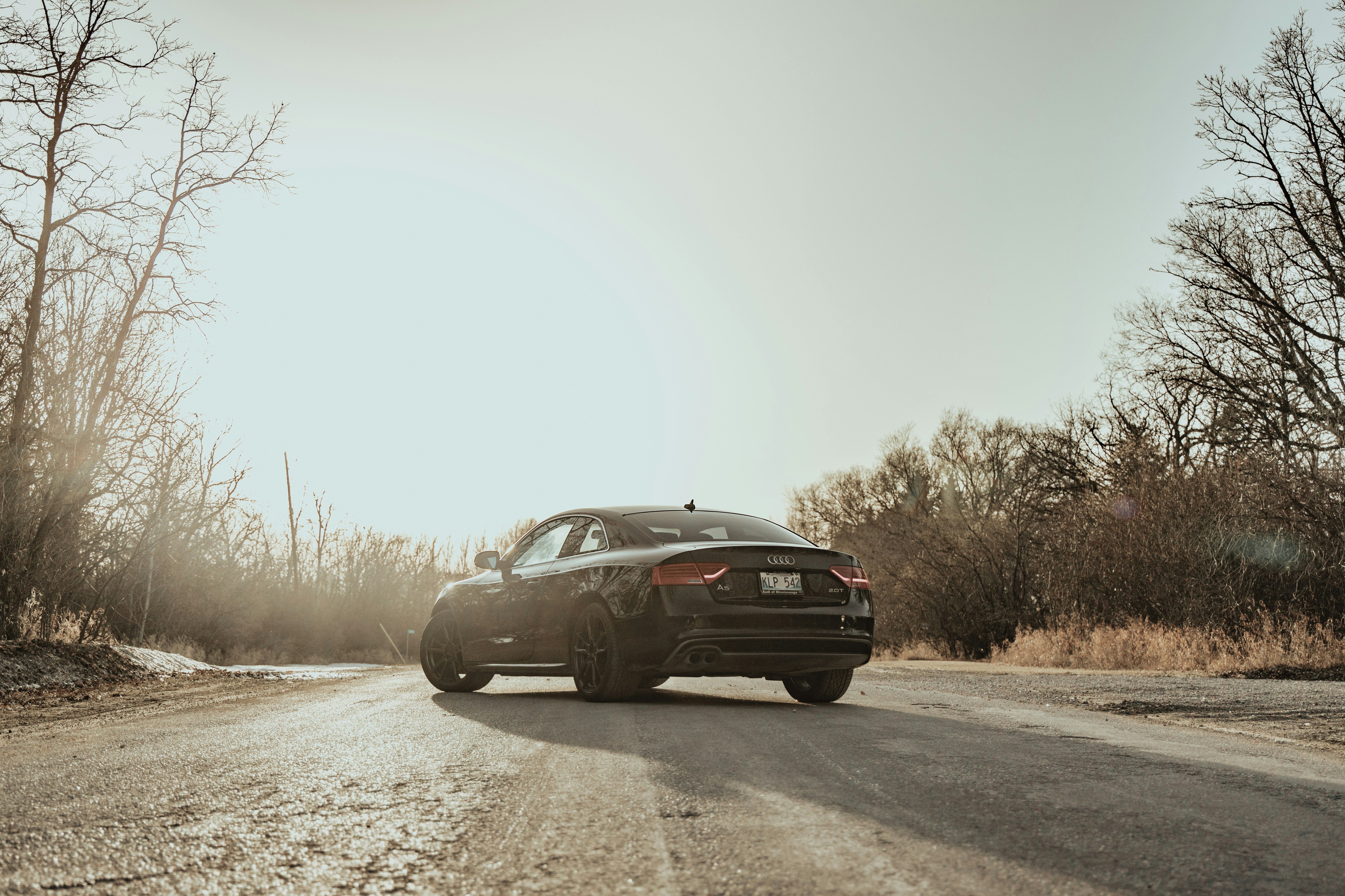 Photo by milesloewen