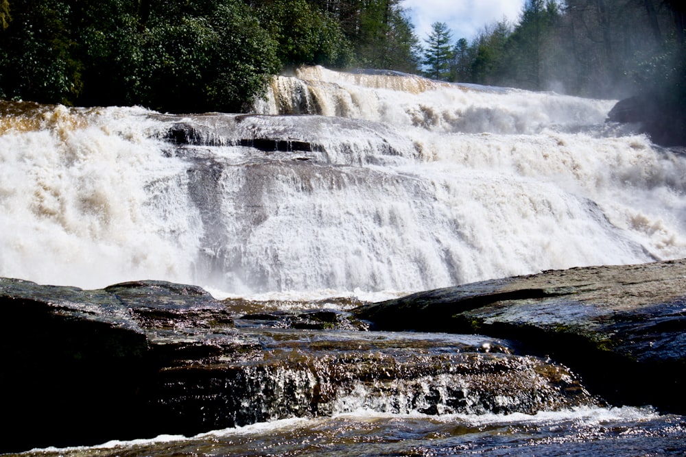 waterfalls near green trees during daytime