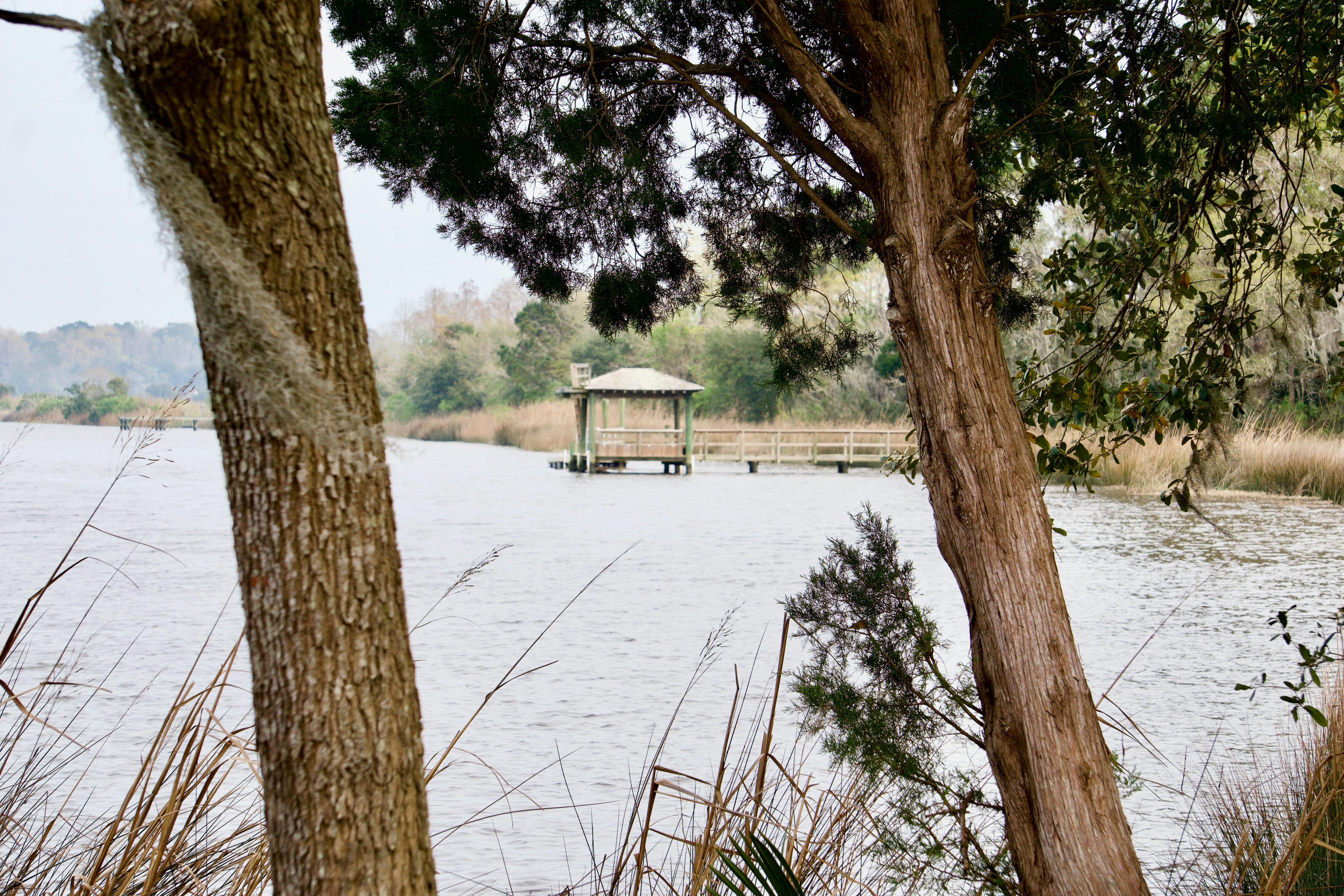Laurel Hill County Park
