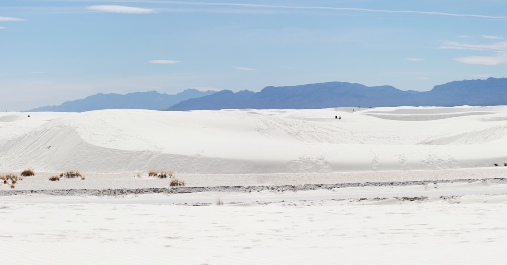 people walking on snow covered field during daytime