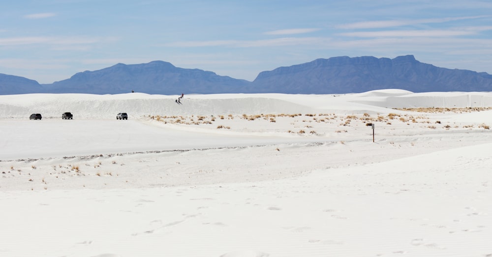 people walking on white snow covered field during daytime