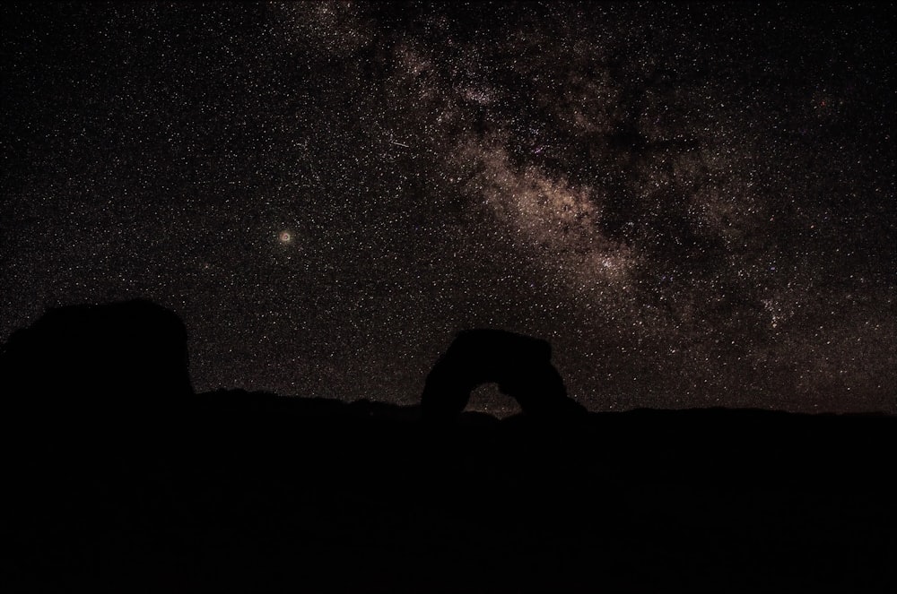 silhouette of horse on hill during night time