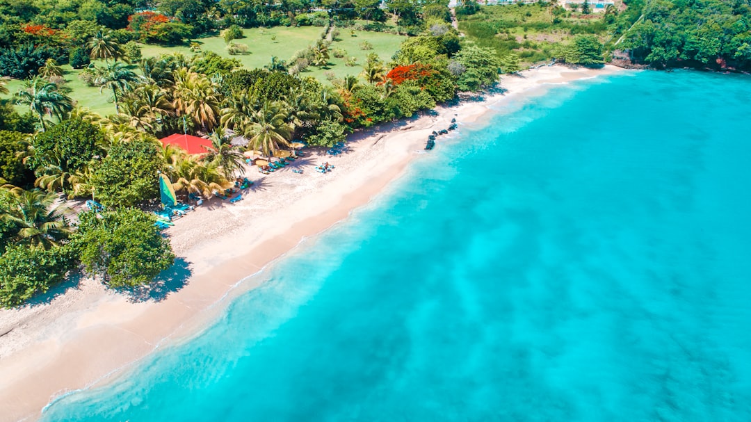 aerial view of beach during daytime