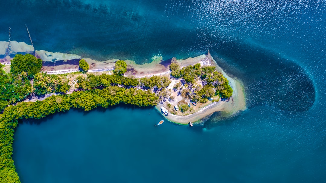 aerial view of green island during daytime