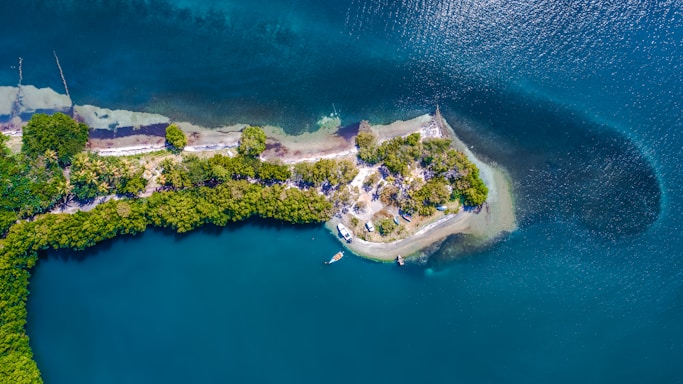 aerial view of green island during daytime