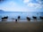 Several traditional longtail boats float on a calm blue sea near the shore. Three people are walking along the sandy beach, and the horizon is lined with distant islands under a partly cloudy sky.