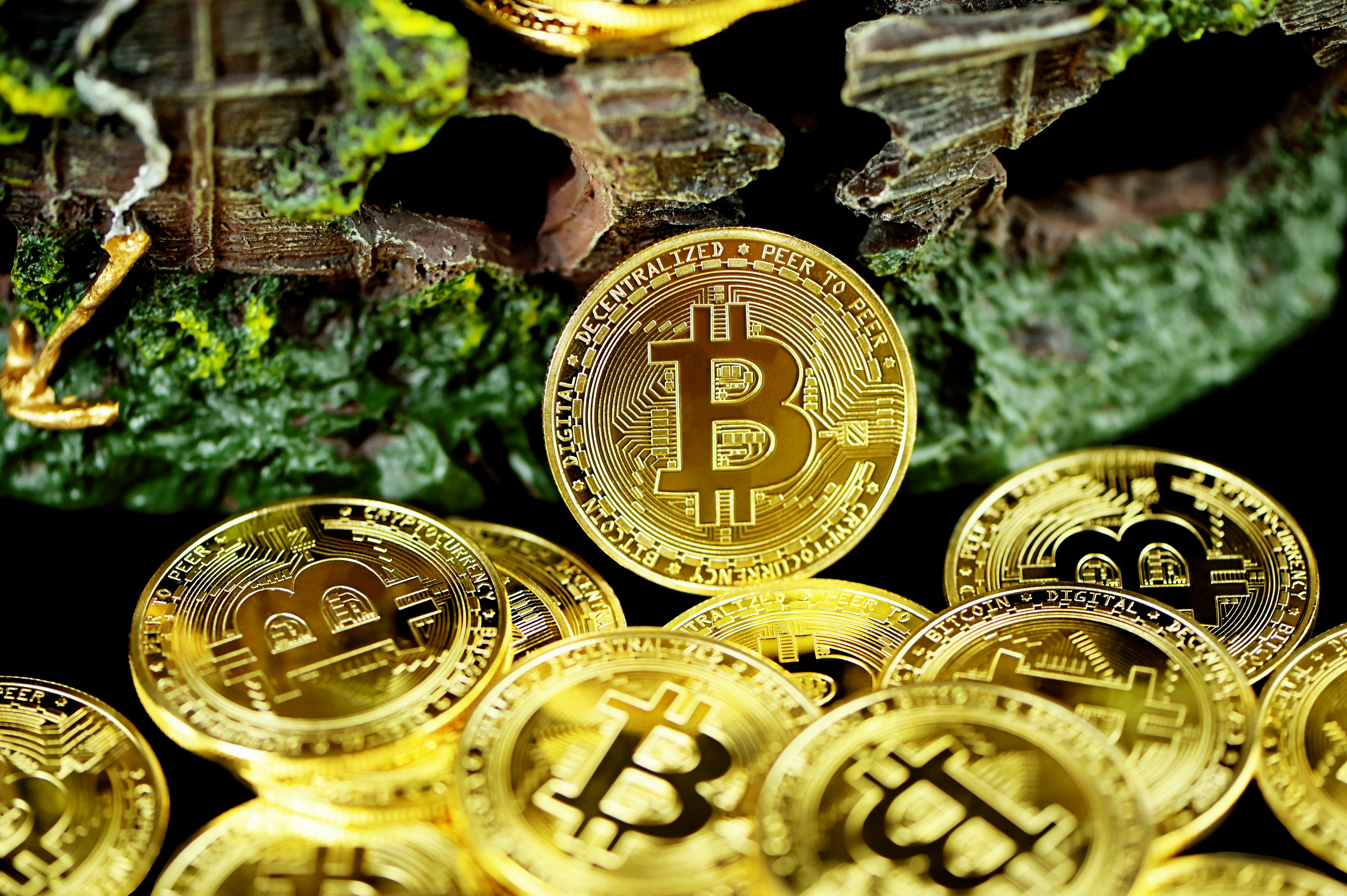 Bitcoin with colored wood.