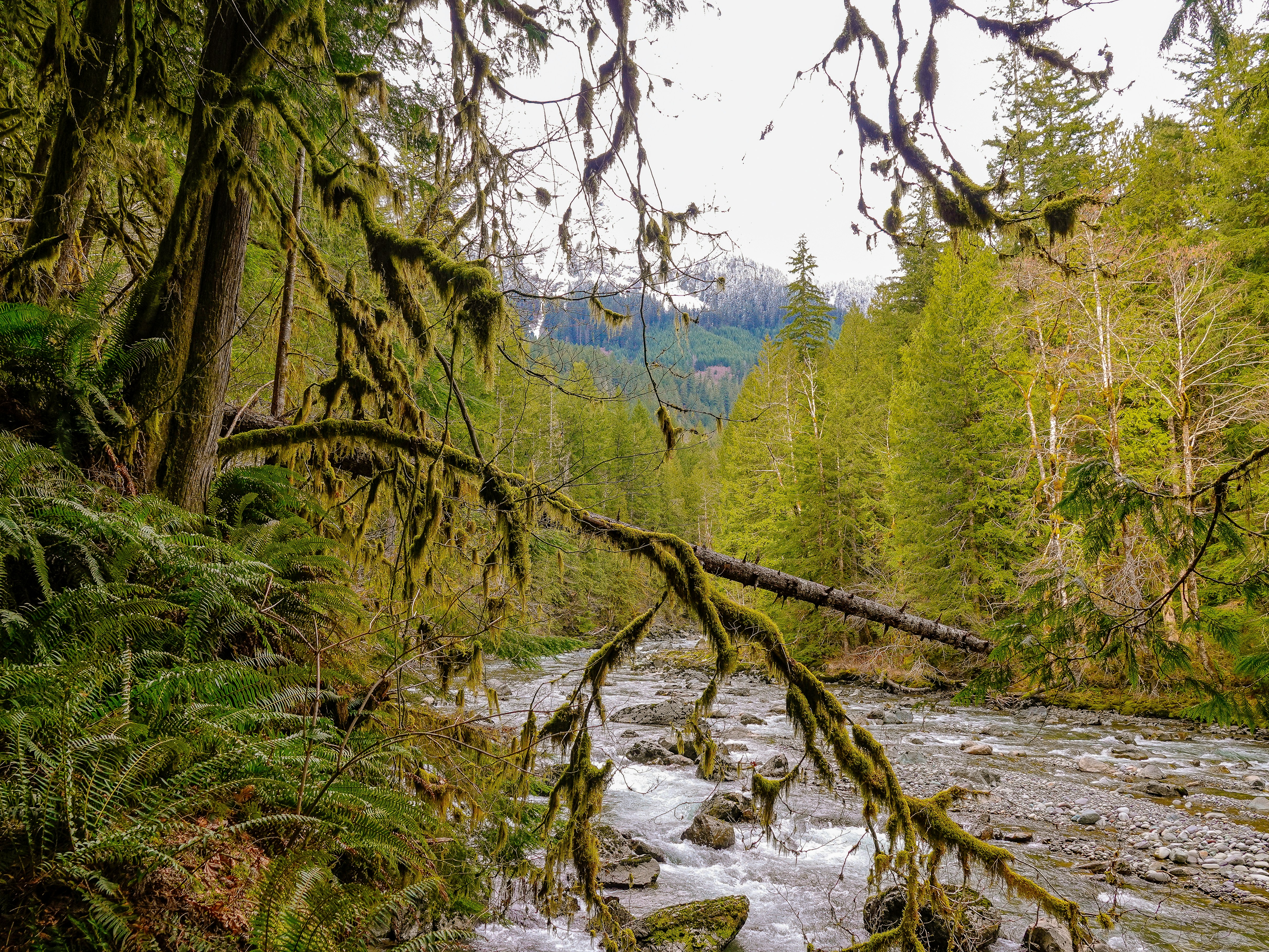 Photo by pavlpolo_official