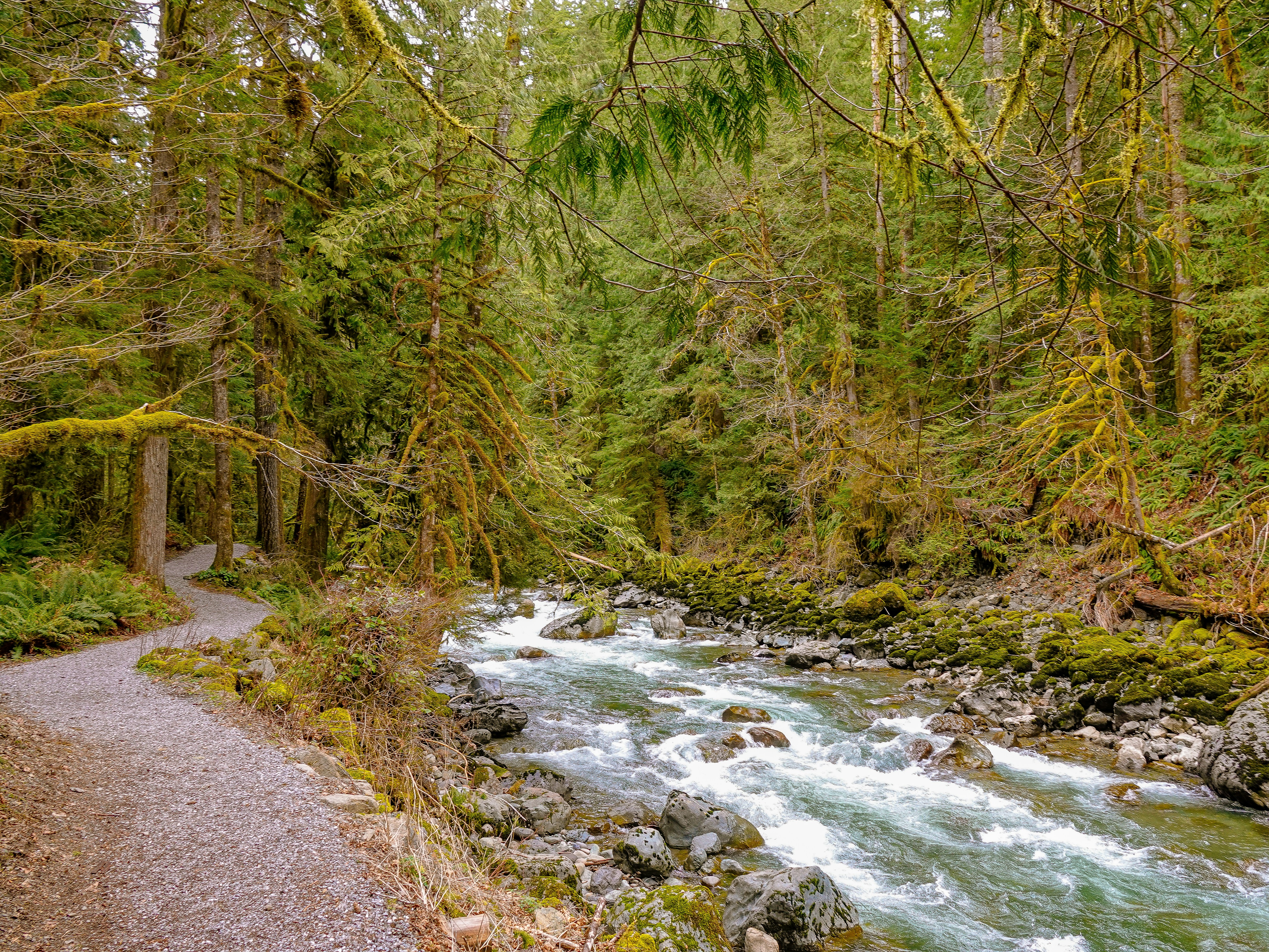 Photo by pavlpolo_official