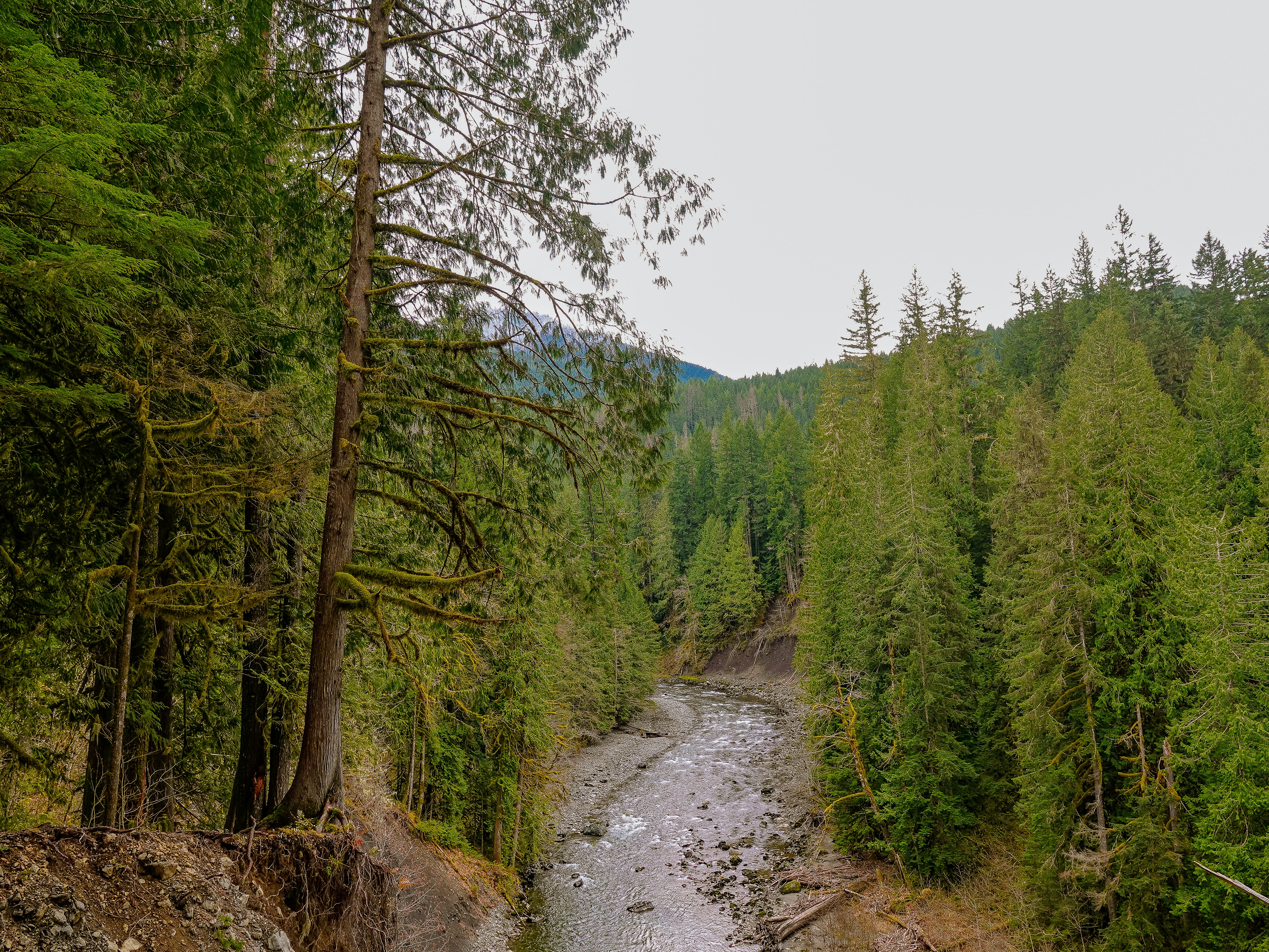 Photo by pavlpolo_official