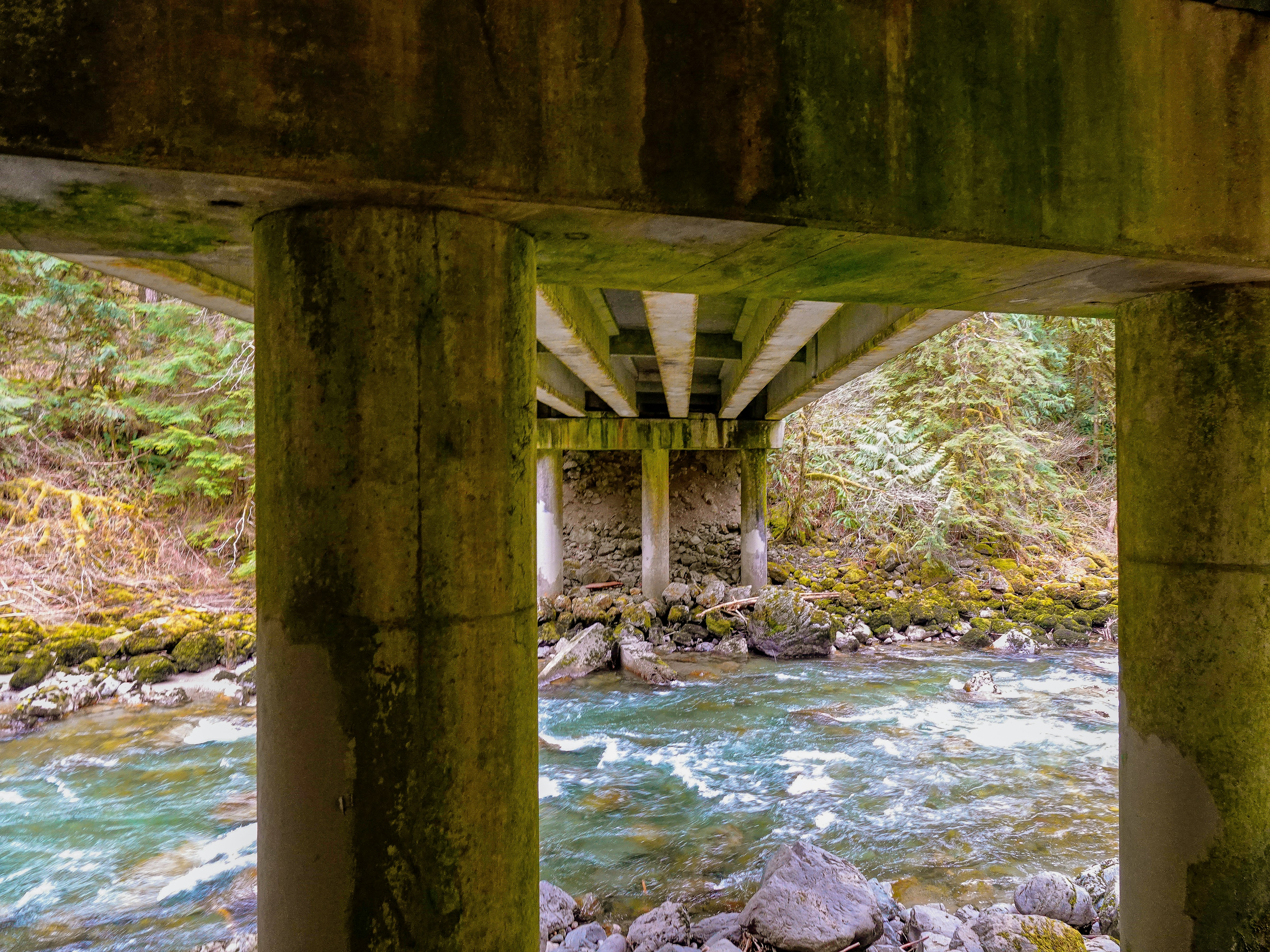 Photo by pavlpolo_official