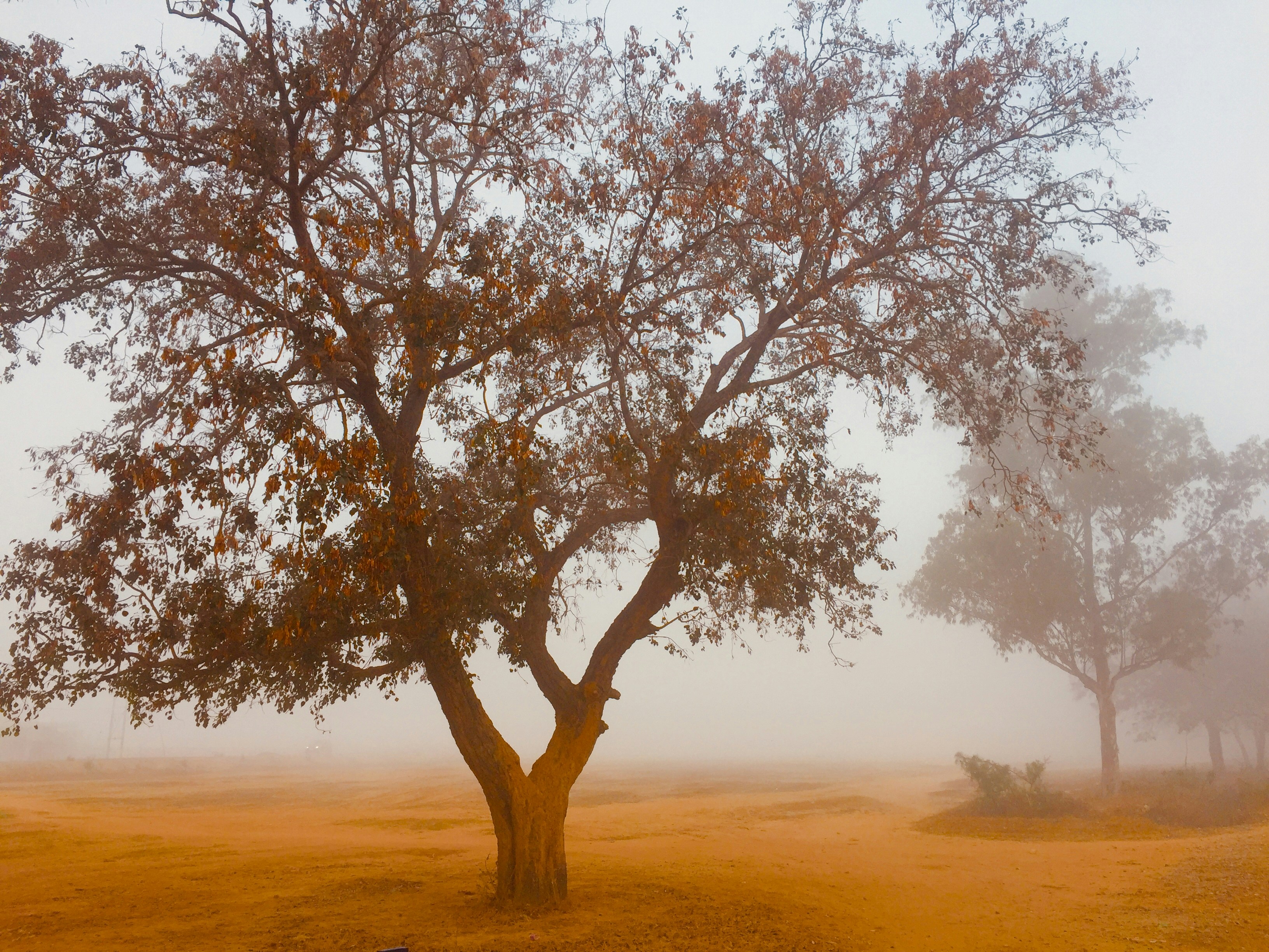 Photo by lucas_lucas