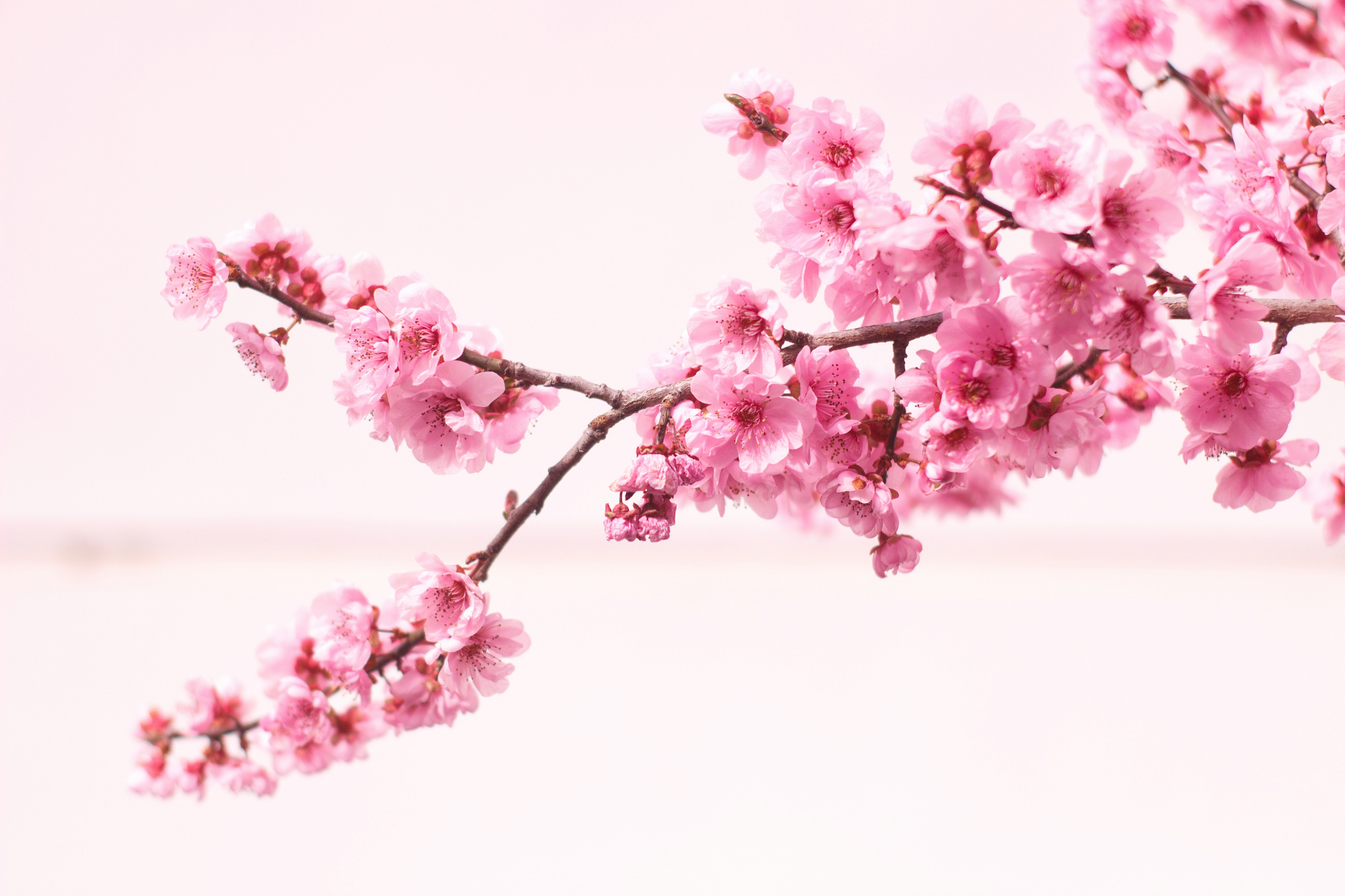 Photo by candy_keeper