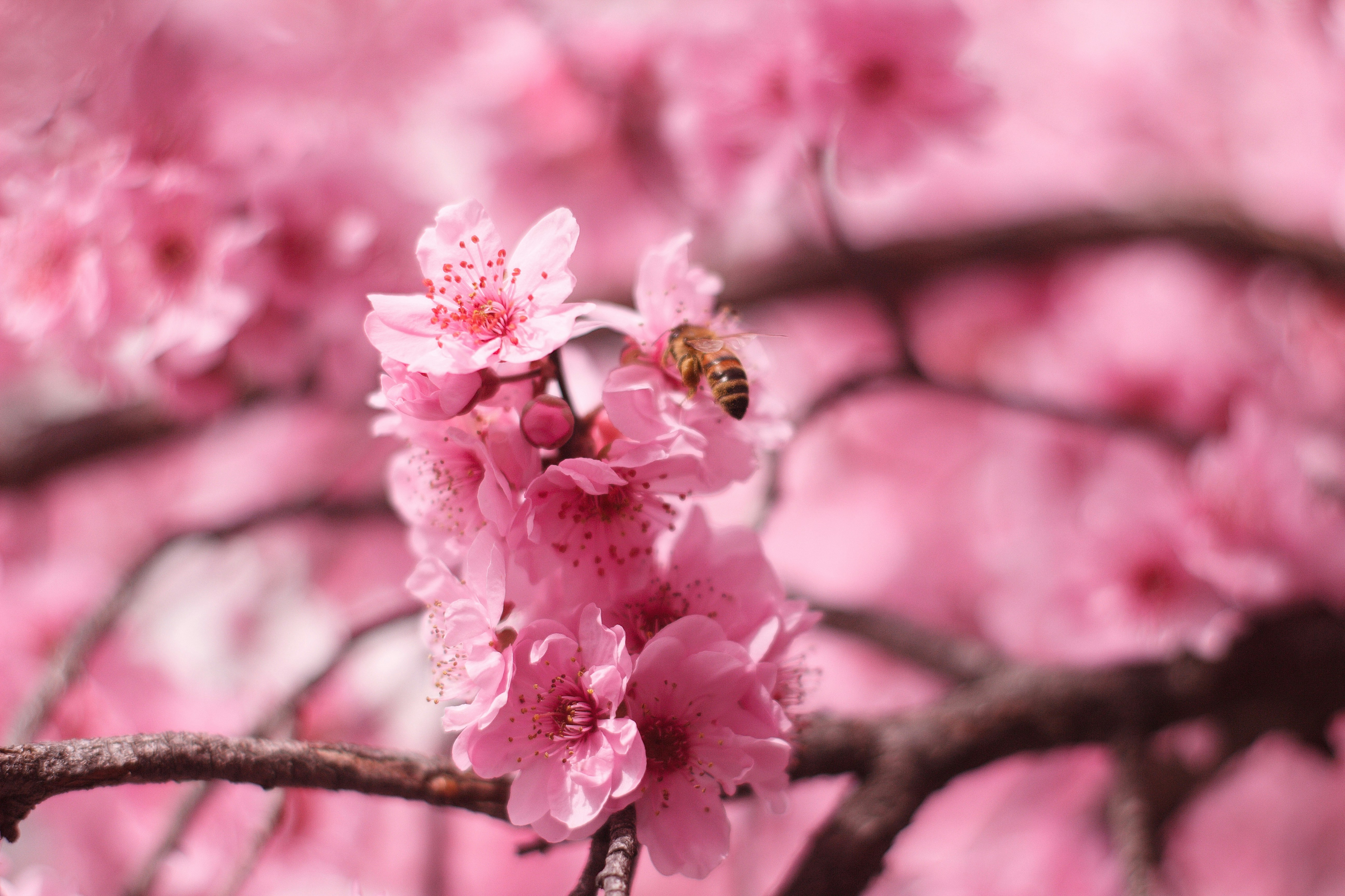 Photo by candy_keeper