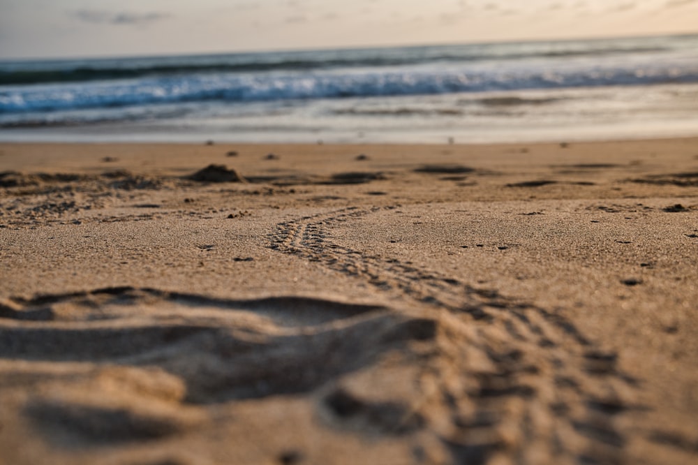 brown sand near body of water during daytime