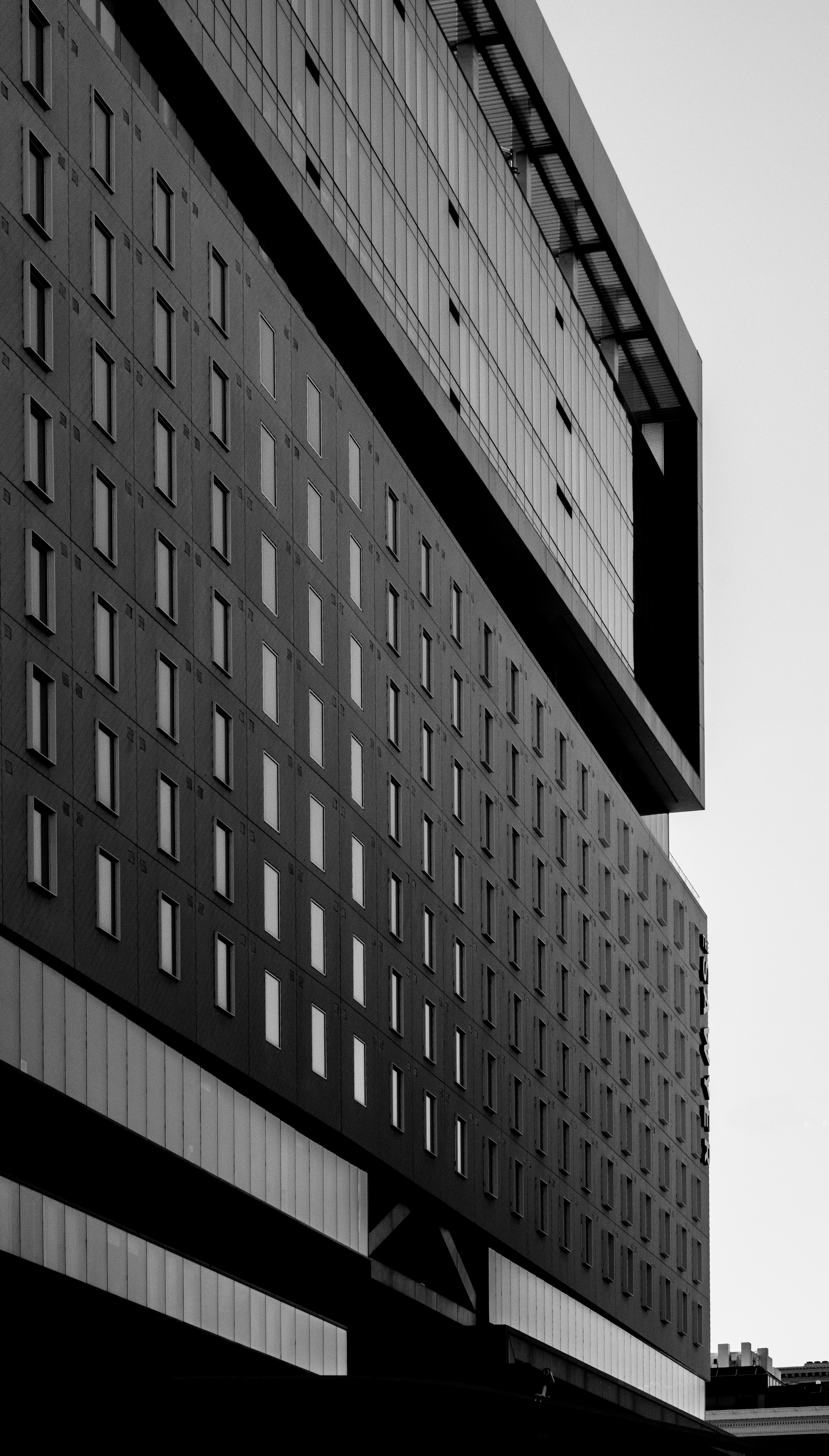 Photo by parsoakhorsand