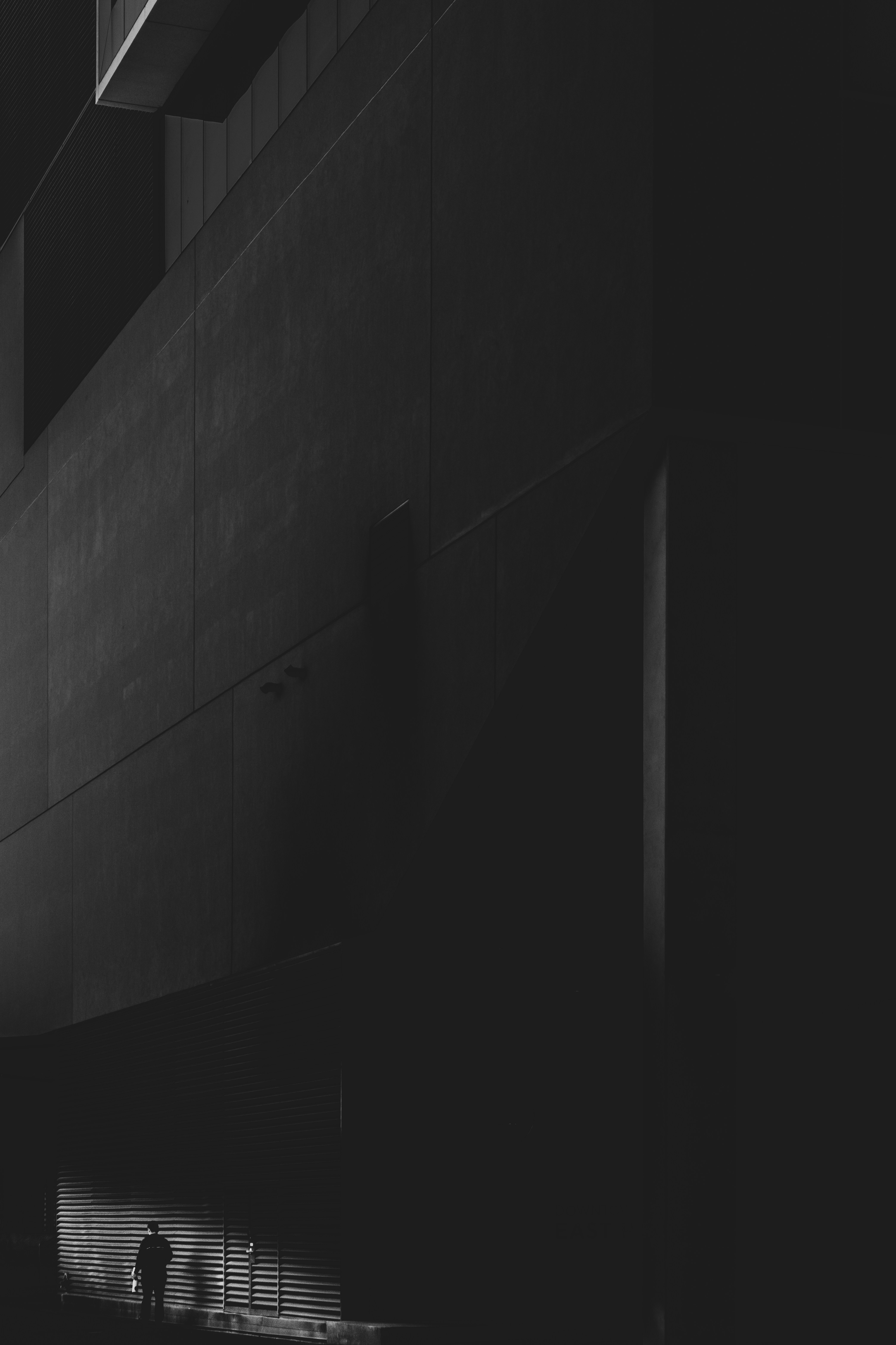 Photo by parsoakhorsand