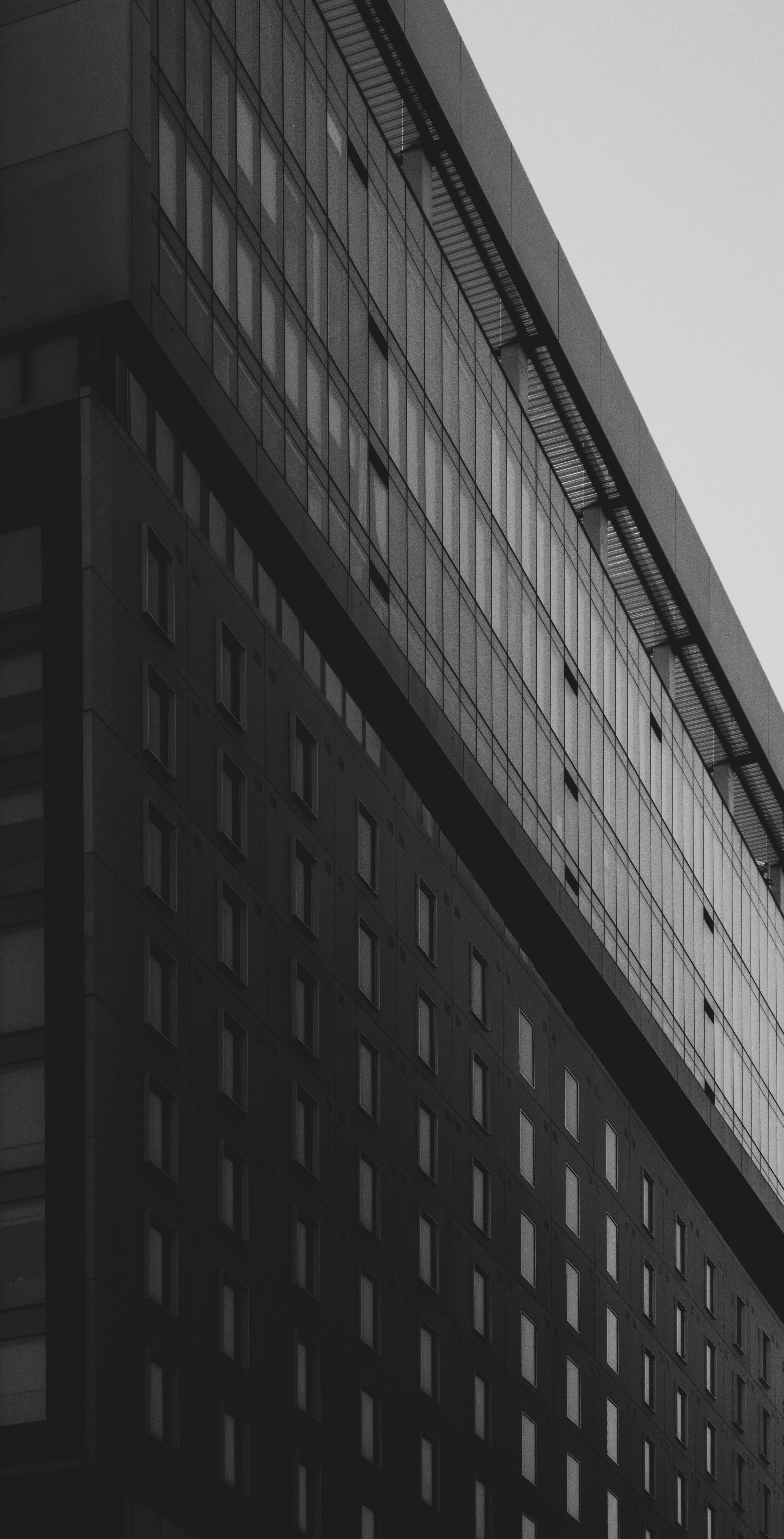 Photo by parsoakhorsand