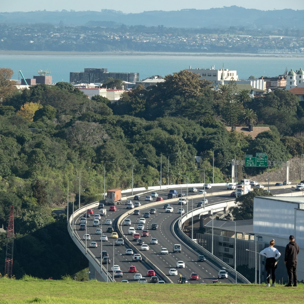 cars on road near green trees during daytime