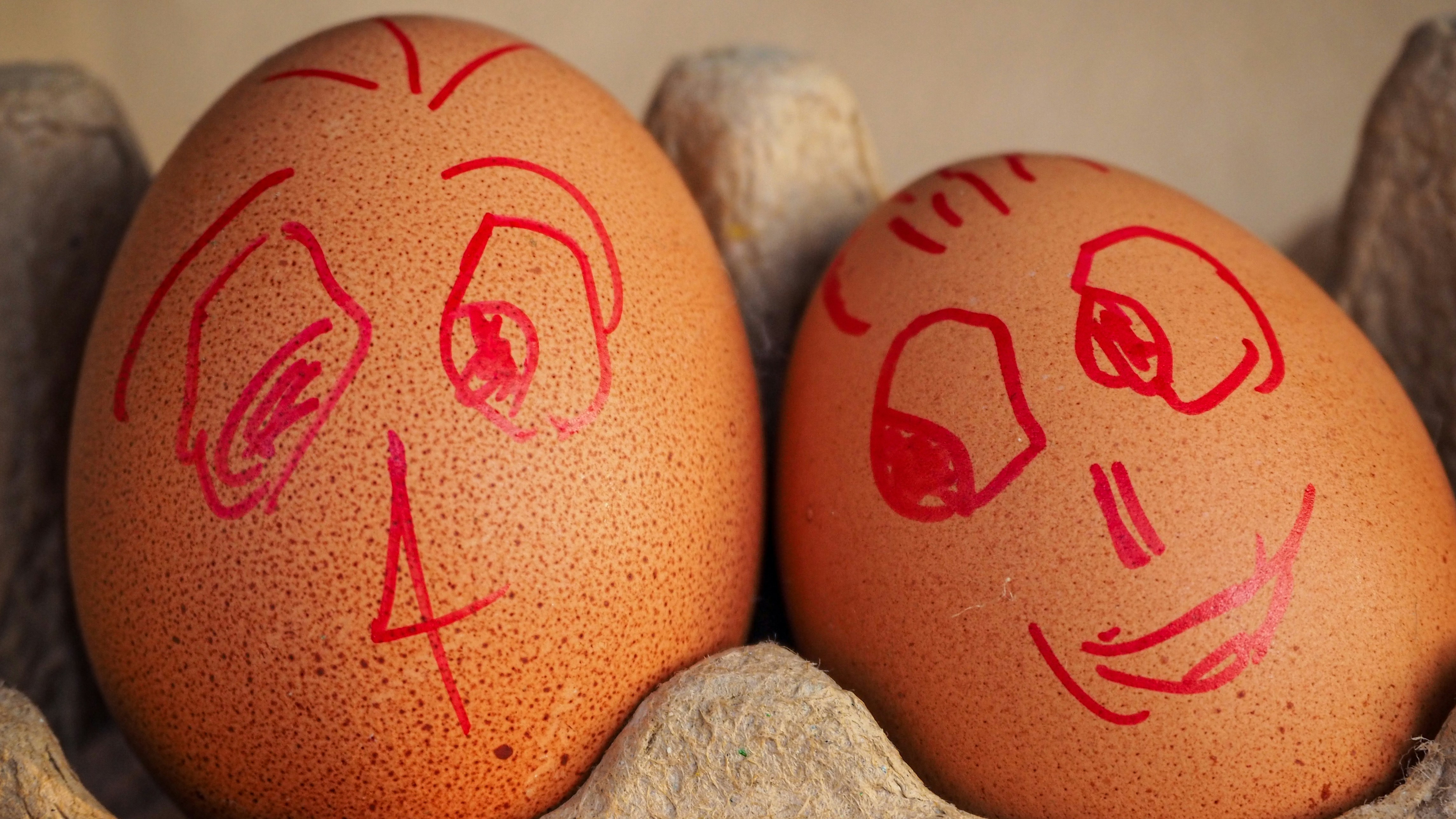 Photo by wimvanteinde