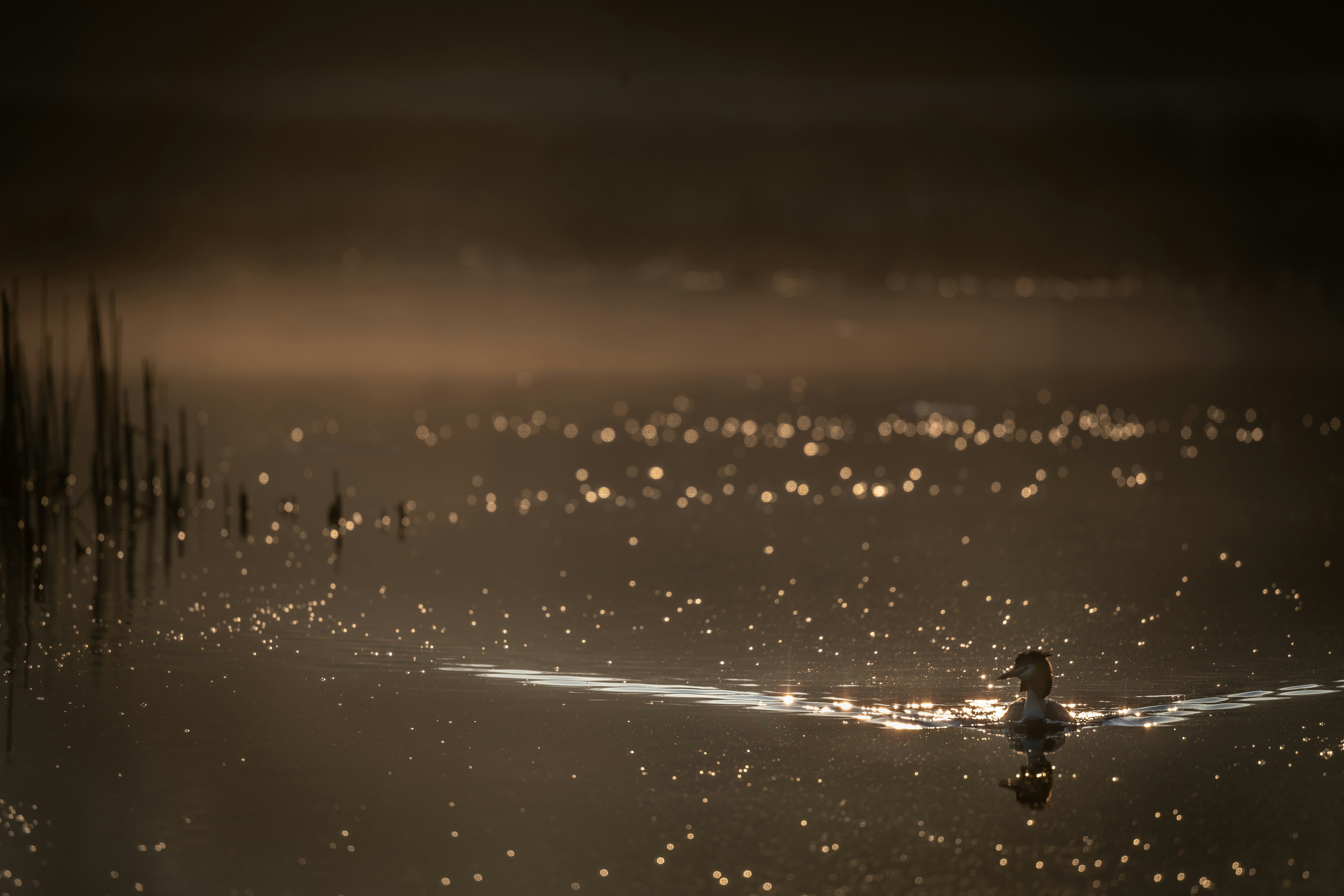 Photo by vincentvanzalinge